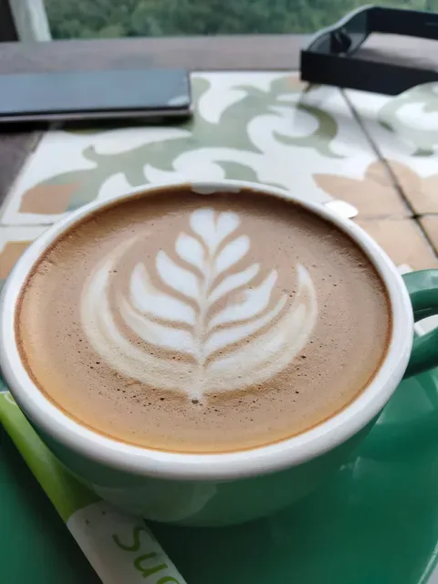 Tegukopi