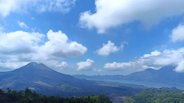 Tegukopi