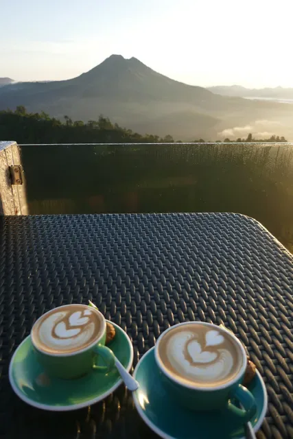 Tegukopi