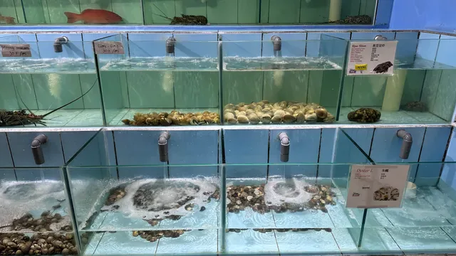 BALI OCEAN FEAST 金巴兰海鲜大排档烧烤中餐厅