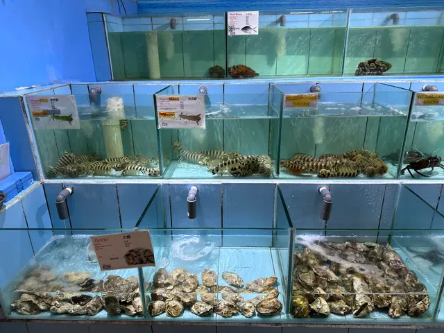 BALI OCEAN FEAST 金巴兰海鲜大排档烧烤中餐厅