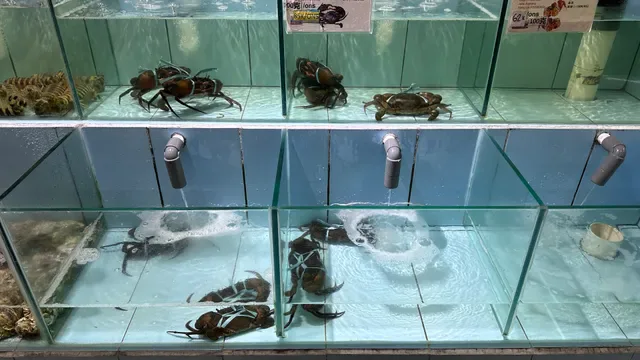 BALI OCEAN FEAST 金巴兰海鲜大排档烧烤中餐厅