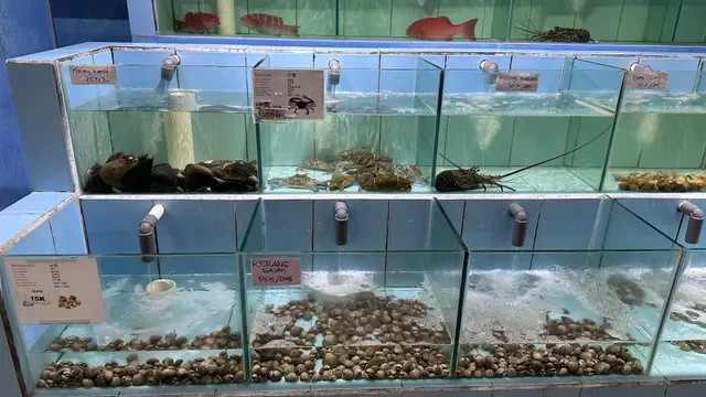 BALI OCEAN FEAST 金巴兰海鲜大排档烧烤中餐厅
