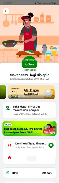 Domino's Pizza