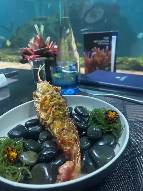 Koral: Bali’s First Aquarium Restaurant