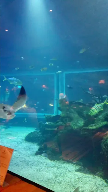Koral: Bali’s First Aquarium Restaurant