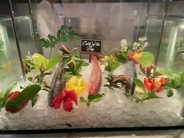 Reef Beach Club