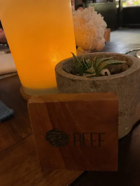 Reef Beach Club
