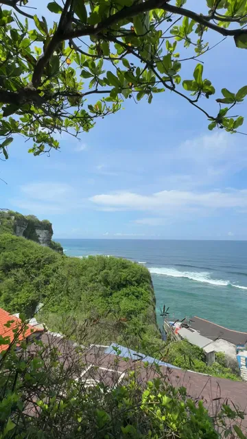 Single Fin Bali