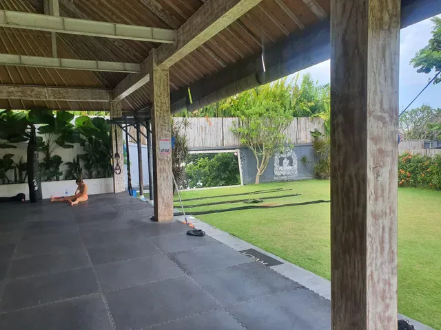 The Cashew Tree