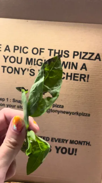 Tony's New York Pizza Ungasan