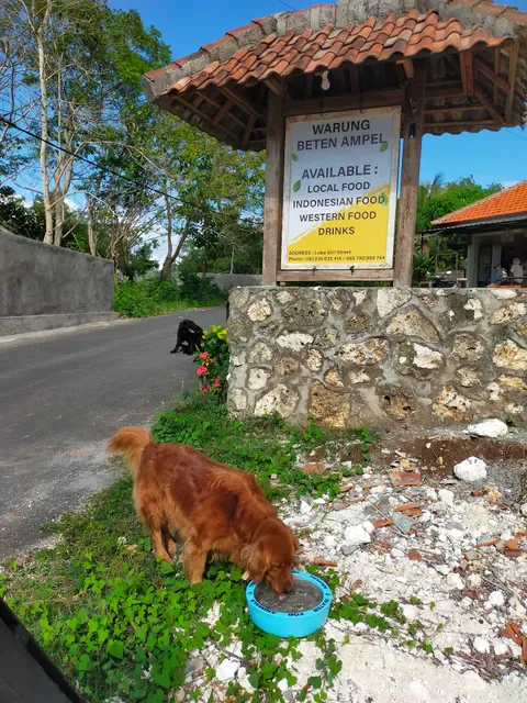 Warung Beten Ampel, Reestaurant nasi goreng