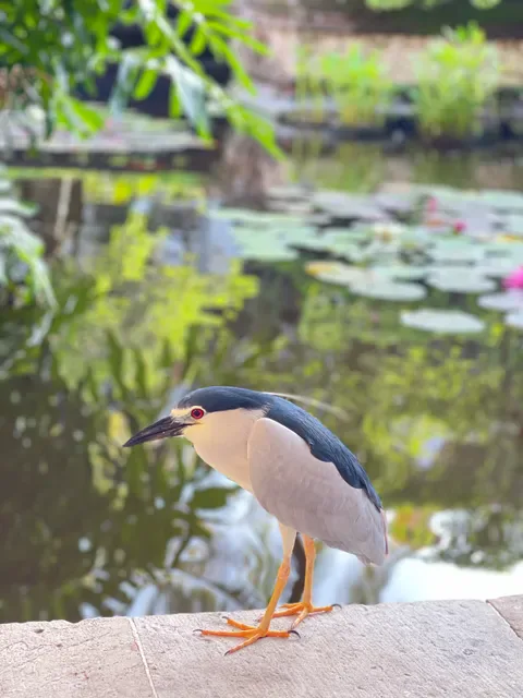 Watercourt Restaurant Bali