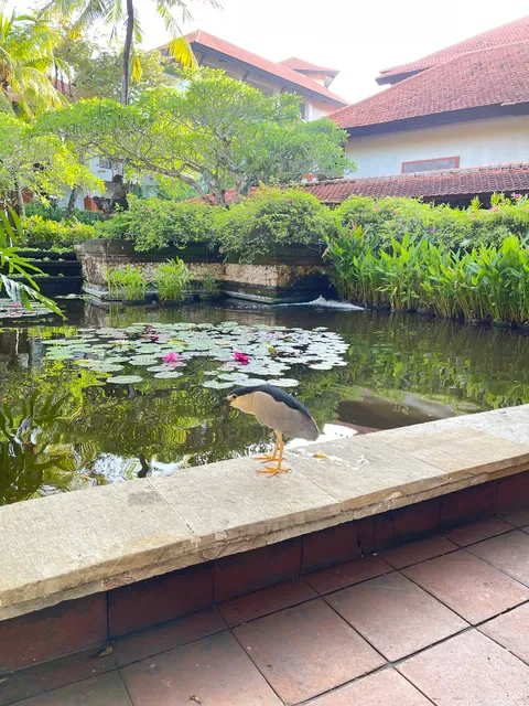 Watercourt Restaurant Bali