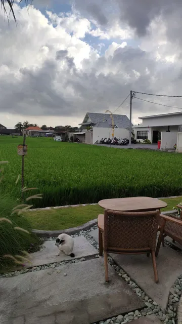707 Cafe & Bistro