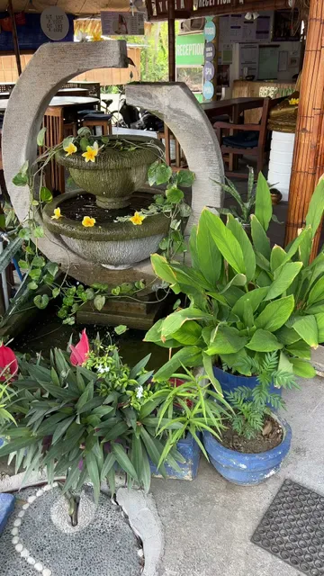 Alkaline Vegan Restaurant