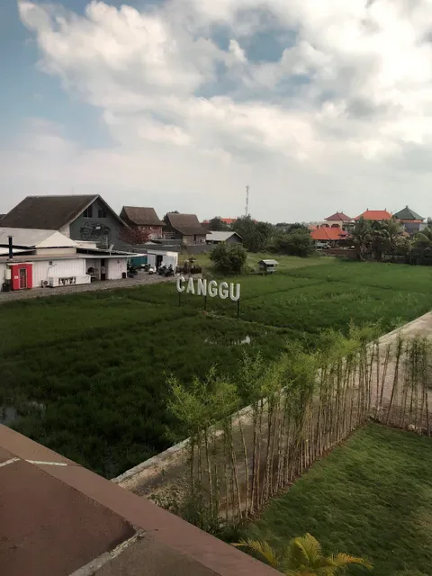 AMO