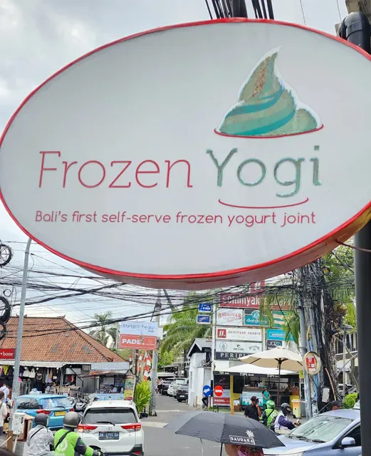 Frozen Yogi