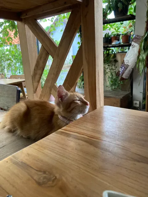 Green garden cafe