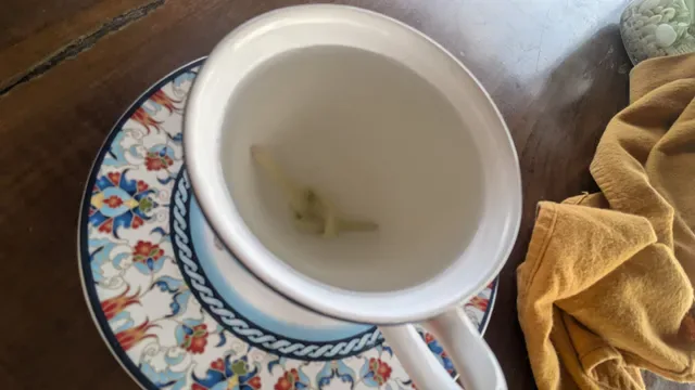 Ji Restaurant Bali