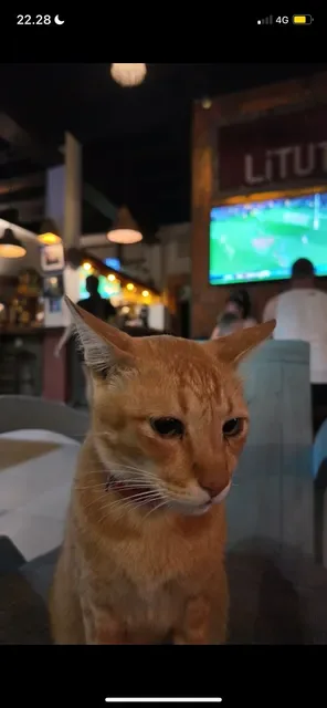 Litut Bar & Restaurant