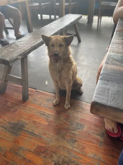Varuna Warung