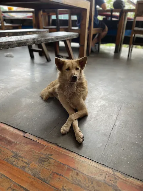 Varuna Warung