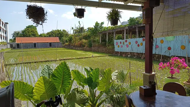 Warung Jembung Bali - The Hidden Diamond of Bali
