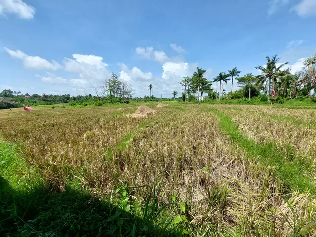 Warung Nasi Babi Guling Men Agus