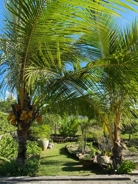 Xich Lo Canggu