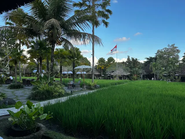 Bebek Tepi Sawah