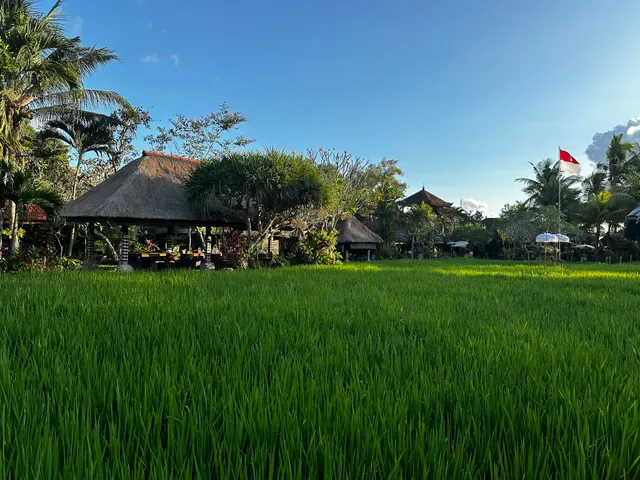 Bebek Tepi Sawah