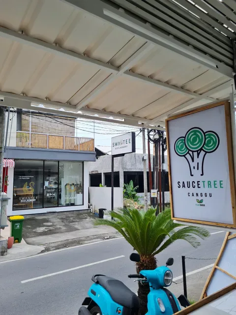 Sauce Tree Plant Based