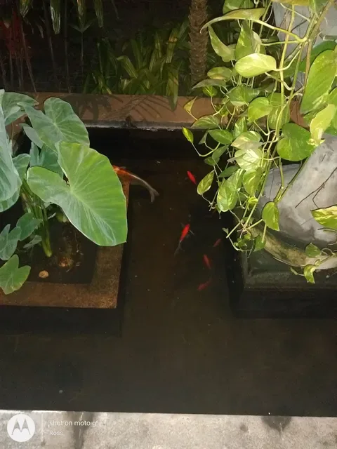 Sukun Restaurant Kuta