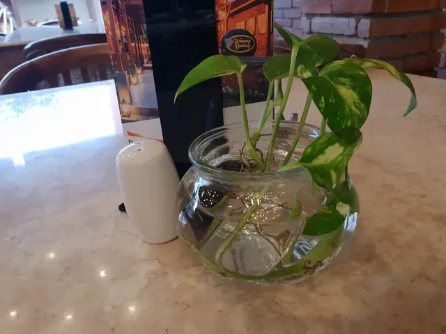 TJ's Coffee & Co-Working