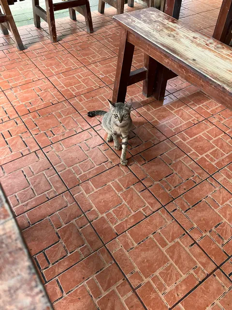 Warung Kampung Indonesian Restaurant