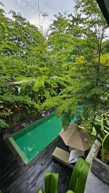 Lovina Life Room & Cafe