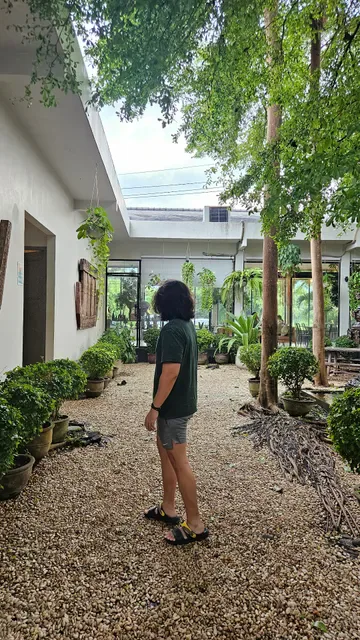 Lovina Life Room & Cafe