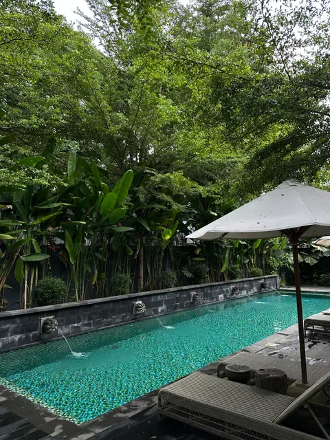 Lovina Life Room & Cafe