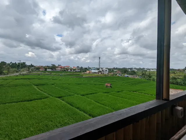 Jay India Bali