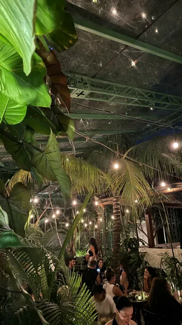 Shelter Restaurant