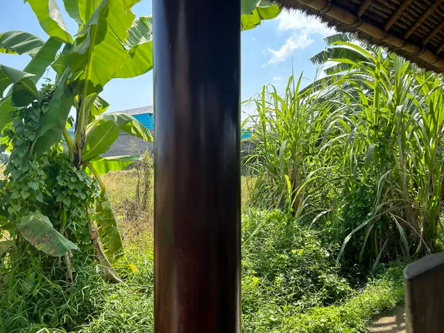 Warung Cantik