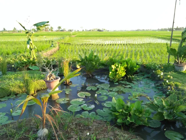 WBA Sepang, Kuliner Khas Bali