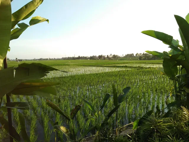 WBA Sepang, Kuliner Khas Bali
