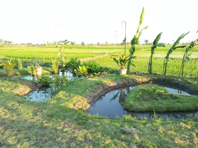 WBA Sepang, Kuliner Khas Bali