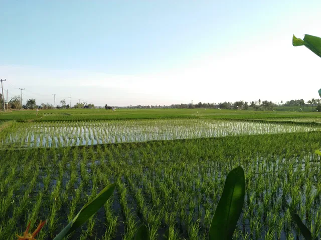 WBA Sepang, Kuliner Khas Bali