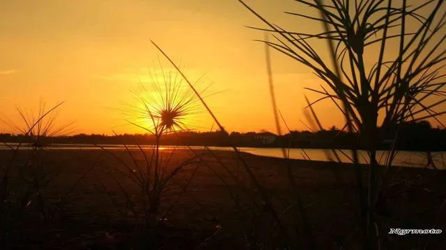 Lesehan Taman Ujung Perancak