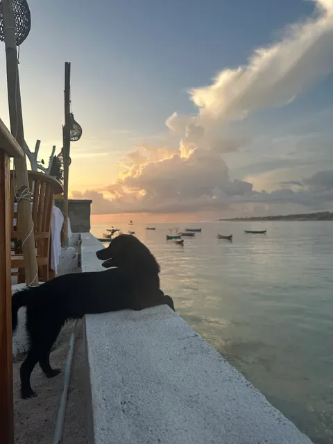 Mista Ceningan Beach Bar