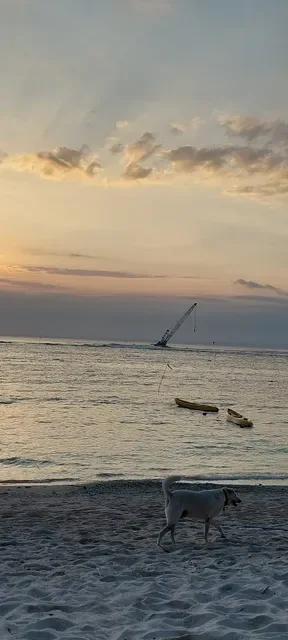 Agus Shipwreck Bar & Restaurant