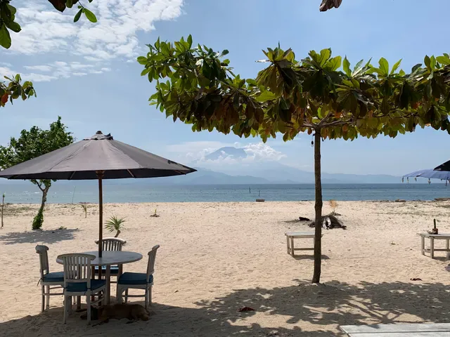 Jibaku Bar & Restaurant